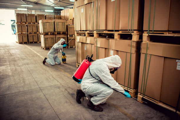 Best Bed Bug Extermination  in East Quincy, CA