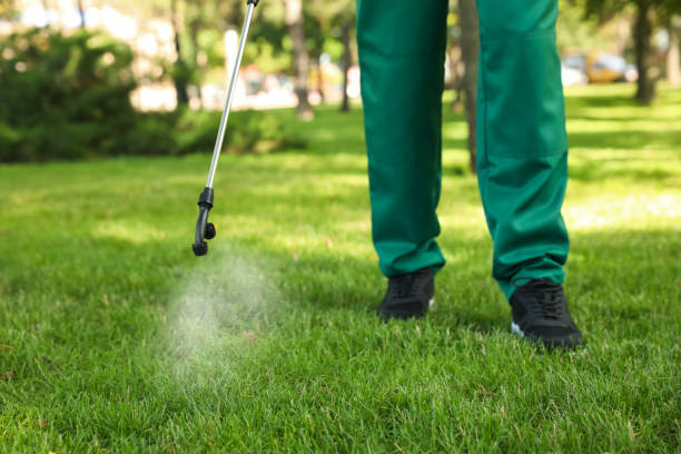 Best Best Pest Control Companies  in East Quincy, CA