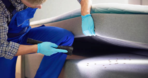 Trusted East Quincy, CA Pest Control Experts