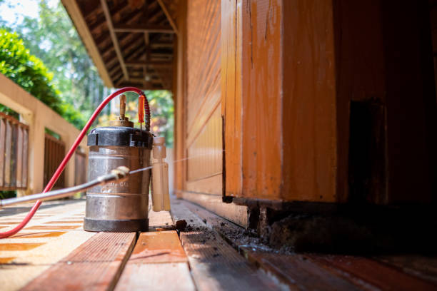 Best Mosquito Control Services  in East Quincy, CA